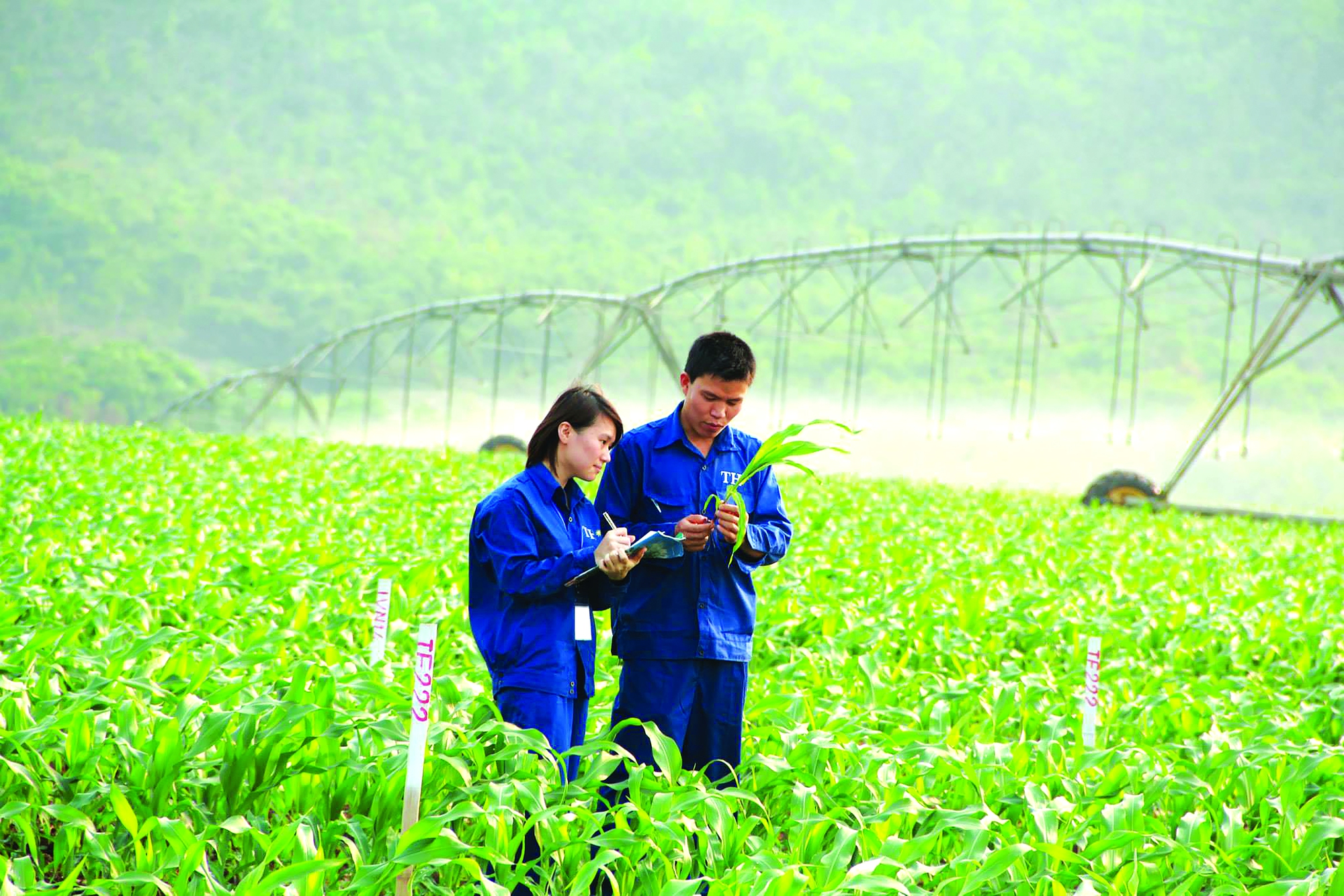 Duc Ngoc - bai tập đoàn TH 1.jpg Duc Ngoc - bai tập đoàn TH 1.jpg