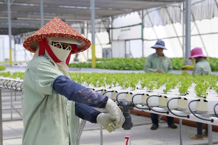 Nông nghiệp - nông dân thông minh: Đông Nam Á học từ Israel - Ảnh 2. Nông nghiệp - nông dân thông minh: Đông Nam Á học từ Israel - Ảnh 2.