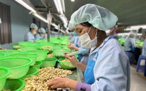 Lại "nóng" chuyện i-ốt trong chế biến thực phẩm
