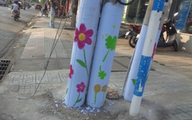 Hoa trên... trụ điện