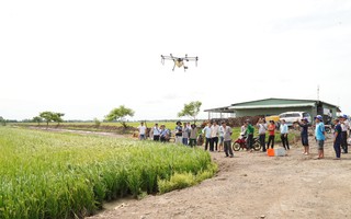 Nông dân miền Tây ngạc nhiên với thiết bị bay phun thuốc trừ sâu