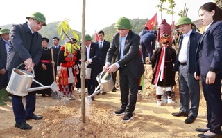 Xây dựng nền kinh tế xanh, phát triển đất nước bền vững