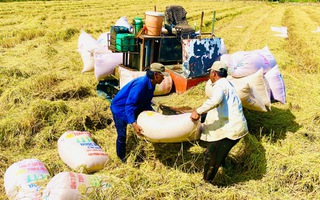 Bộ Công Thương lập đoàn kiểm tra liên ngành về xuất khẩu gạo tại ĐBSCL