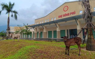 Thanh tra 5 dự án BĐS, Quảng Nam yêu cầu thu hồi 1,7 tỉ đồng