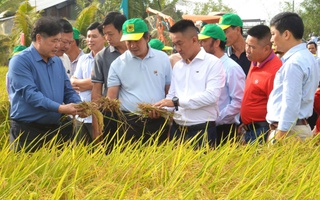 Canh tác lúa giảm phát thải: Hành trình nâng cao giá trị hạt gạo Việt