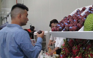 Bốn nông sản của Việt Nam vừa đón tin vui từ thị trường Trung Quốc