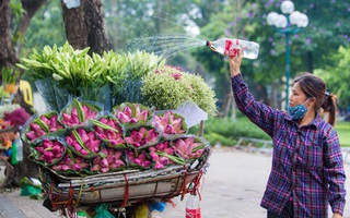 "Ông ngốn nhiều hoa sen lắm đấy nhé!"
